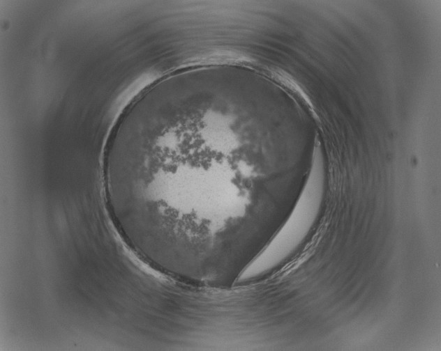 X0000068891087200605081313