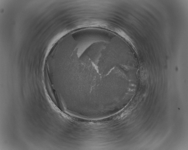 X0000068891088200605081313