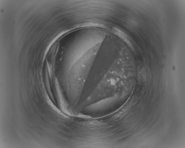 X0000068891092200605081313