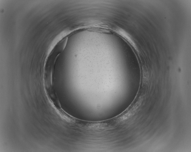 X0000068891093200605081313