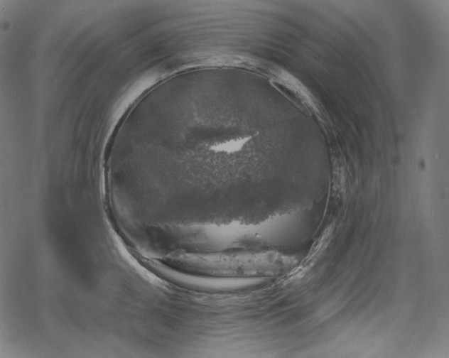 X0000068891095200605081313