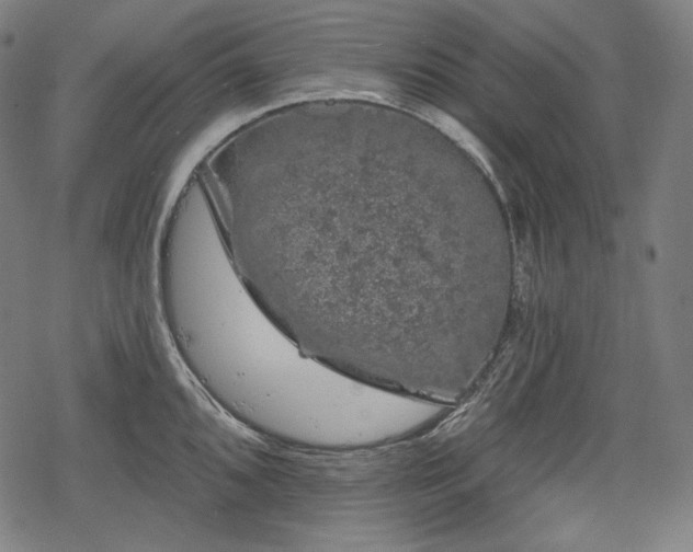 X0000068891096200605081313