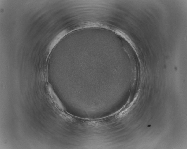 X0000068891097200605081313