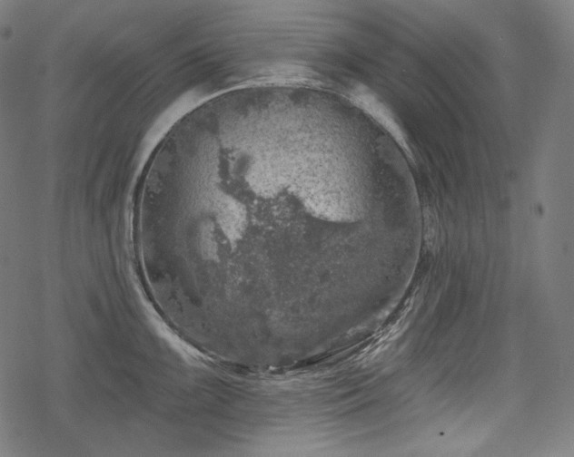 X0000068891099200605081313