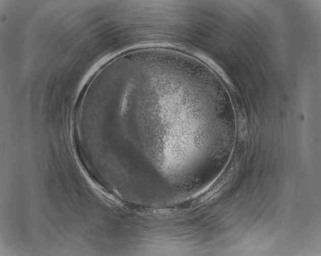 X0000068891101200605081313