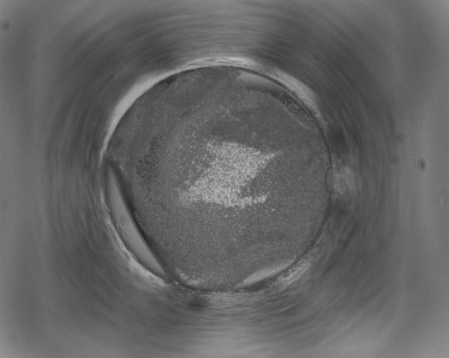 X0000068891102200605081313