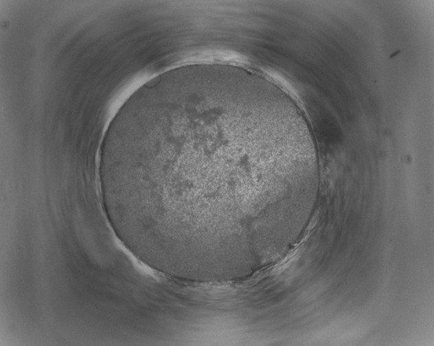 X0000068891103200605081313