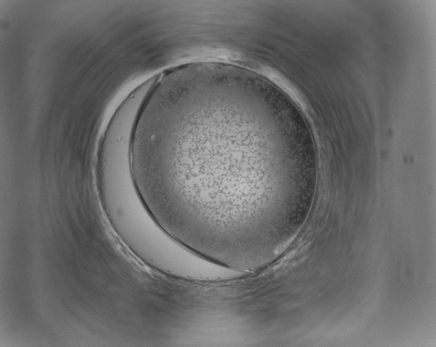 X0000068891104200605081313