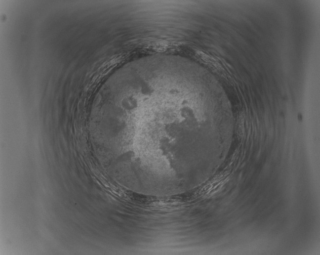 X0000068891105200605081312