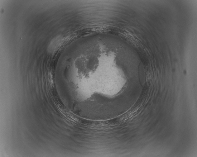 X0000068891106200605081312