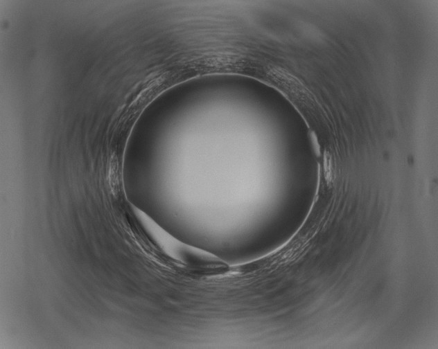 X0000068891107200605081312