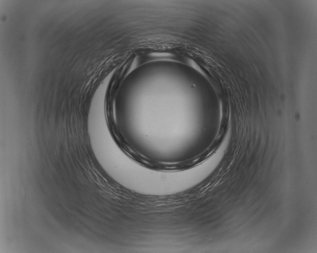 X0000068891108200605081312