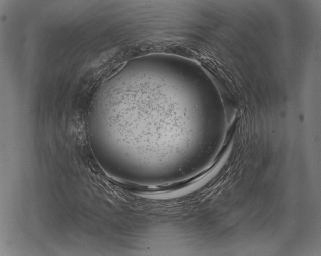 X0000068891109200605081312