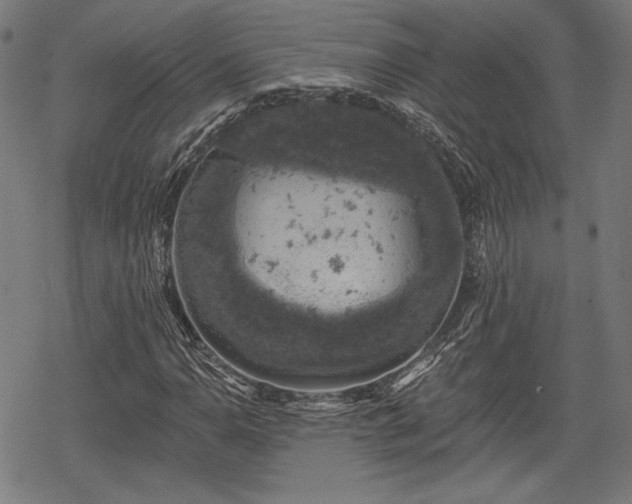 X0000068891110200605081312