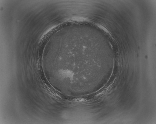 X0000068891112200605081312