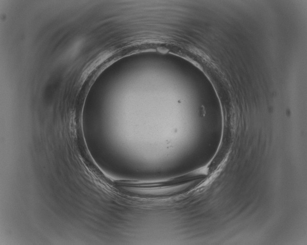 X0000068891113200605081312