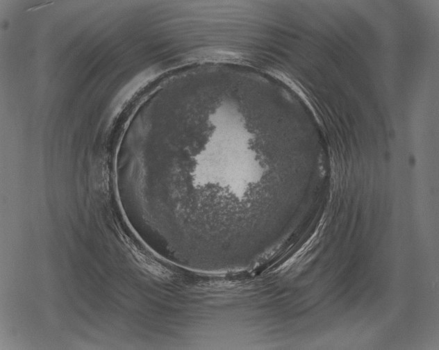 X0000068891115200605081313