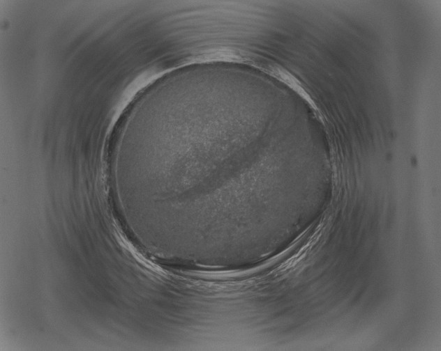 X0000068891116200605081313