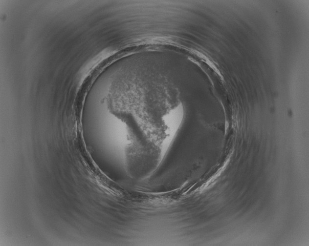 X0000068891117200605081313