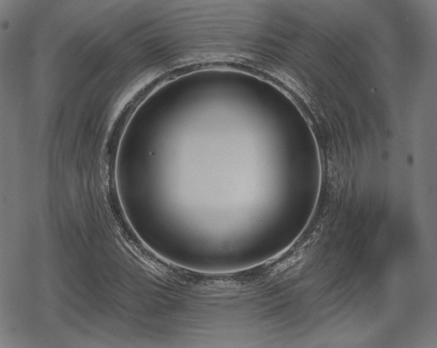 X0000068891119200605081313