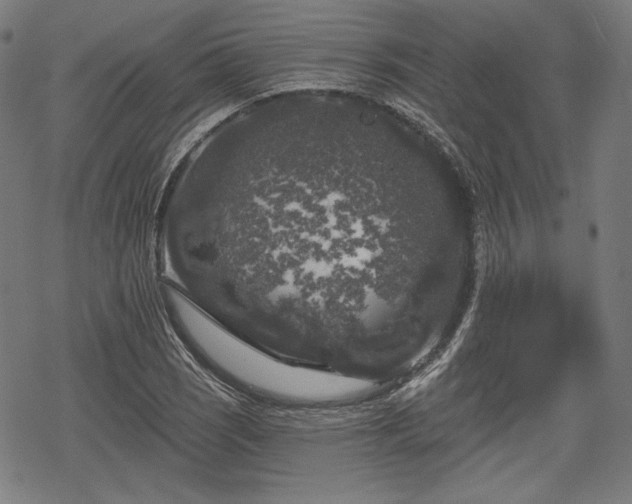 X0000068891121200605081313