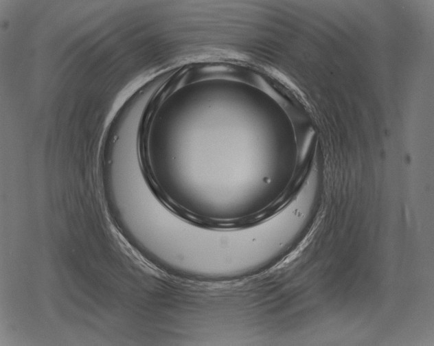 X0000068891122200605081313