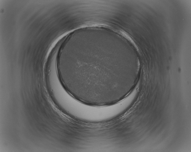 X0000068891124200605081313