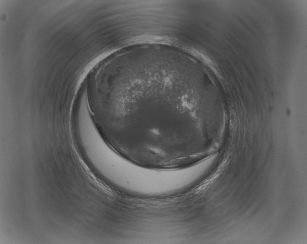 X0000068891125200605081313