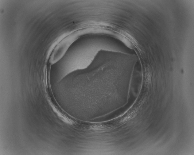 X0000068891128200605081313