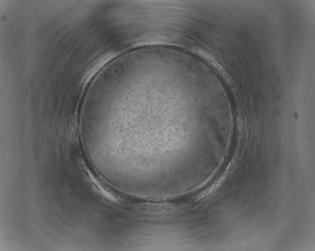 X0000068891129200605081313