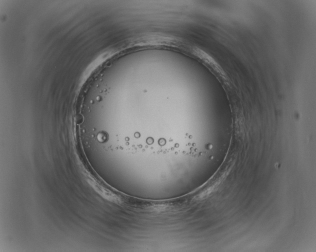 X0000068891130200605081313