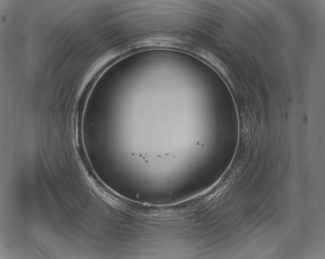 X0000068891131200605081313