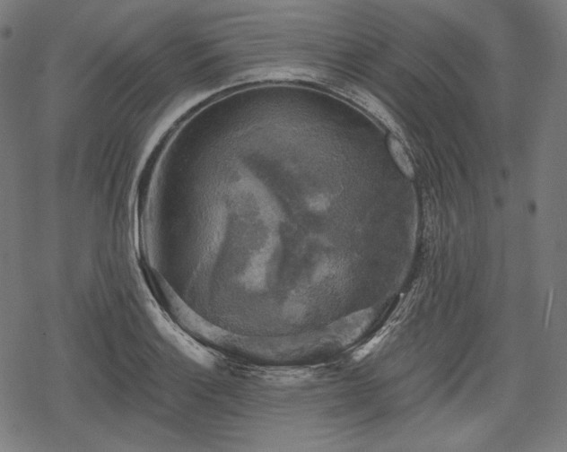 X0000068891132200605081313