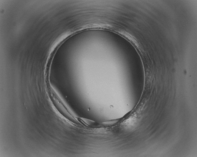 X0000068891135200605081313