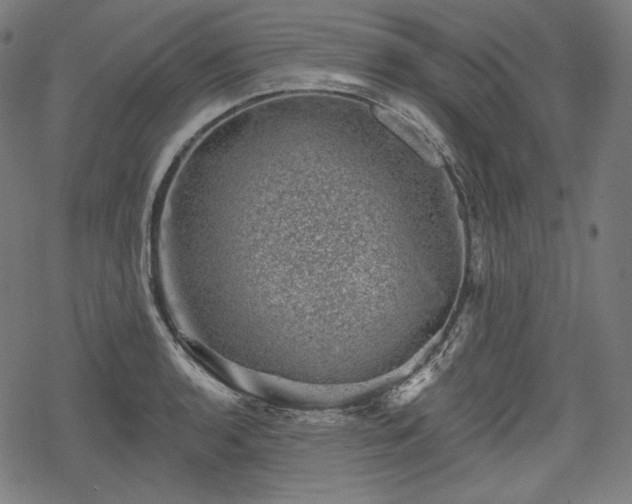 X0000068891136200605081313