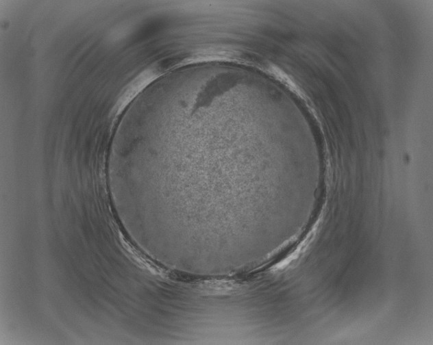 X0000068891137200605081313