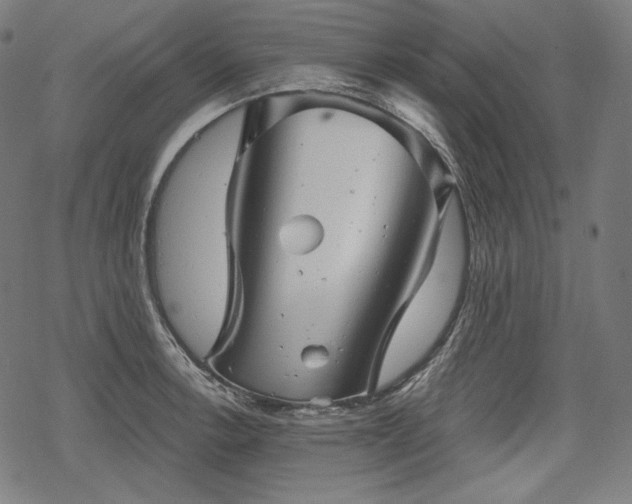 X0000068891138200605081313