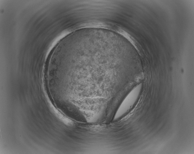 X0000068891139200605081313