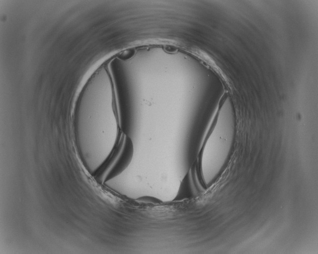 X0000068891140200605081313