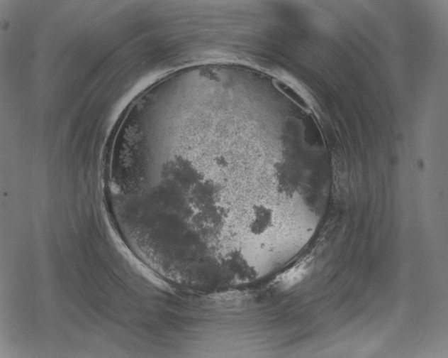 X0000068891142200605081313