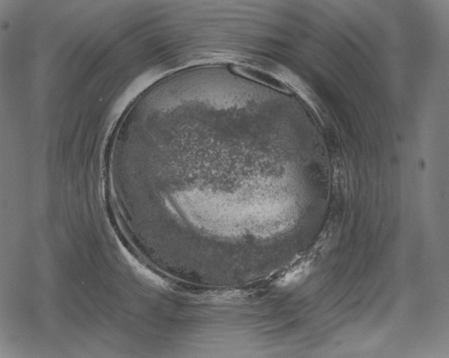 X0000068891143200605081313