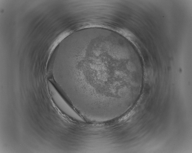 X0000068891145200605081313