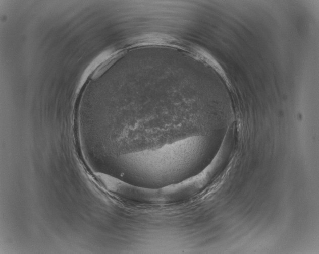 X0000068891146200605081313