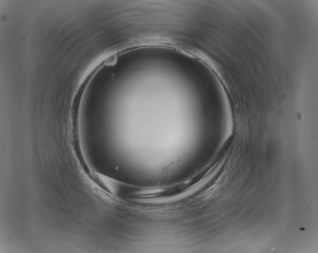 X0000068891147200605081313