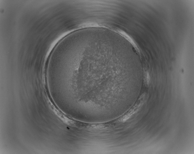 X0000068891148200605081313