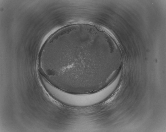 X0000068891149200605081313