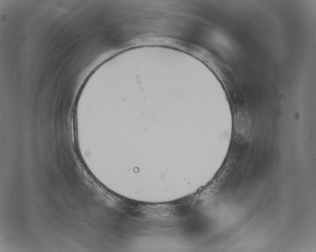 X0000068891150200605081313