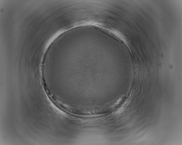 X0000068891151200605081313