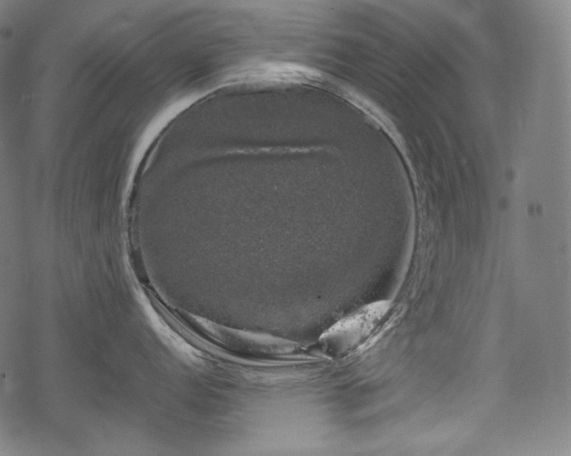 X0000068891152200605081313