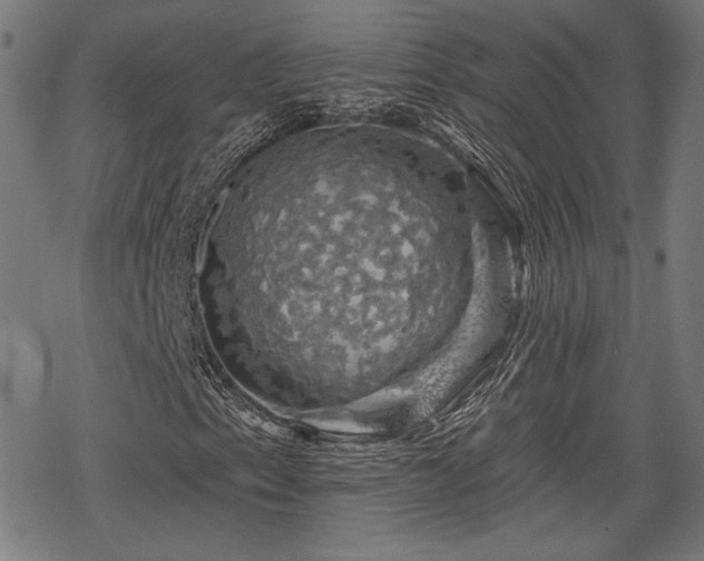 X0000068891153200605081312